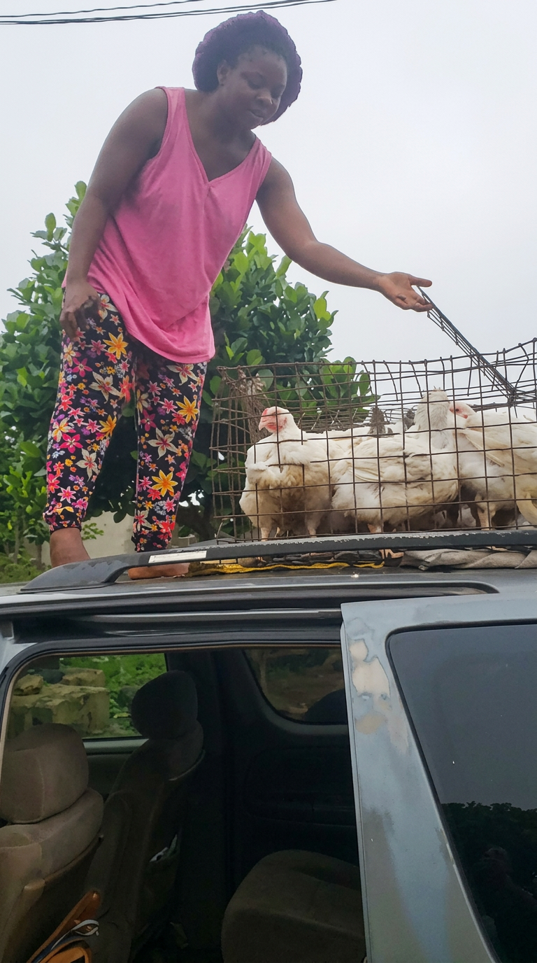 A woman securing a cage of poultry for transport